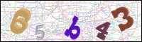 Image Verification