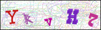 Image Verification