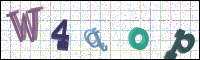 Image Verification