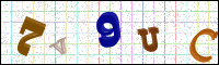 Image Verification