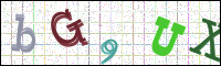 Image Verification