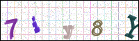 Image Verification