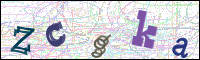 Image Verification